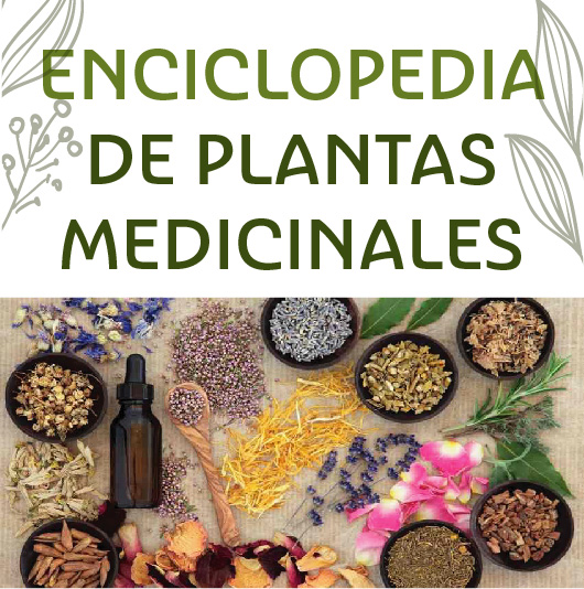 ENCICLOPEDIA DE PLANTAS MEDICINALES