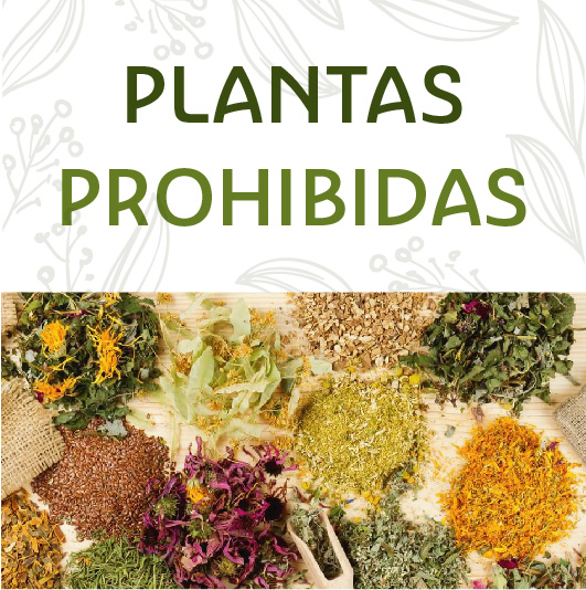 PLANTAS PROHIBIDAS O PERMITIDAS PARA TÉS, INFUSIONES Y OTROS