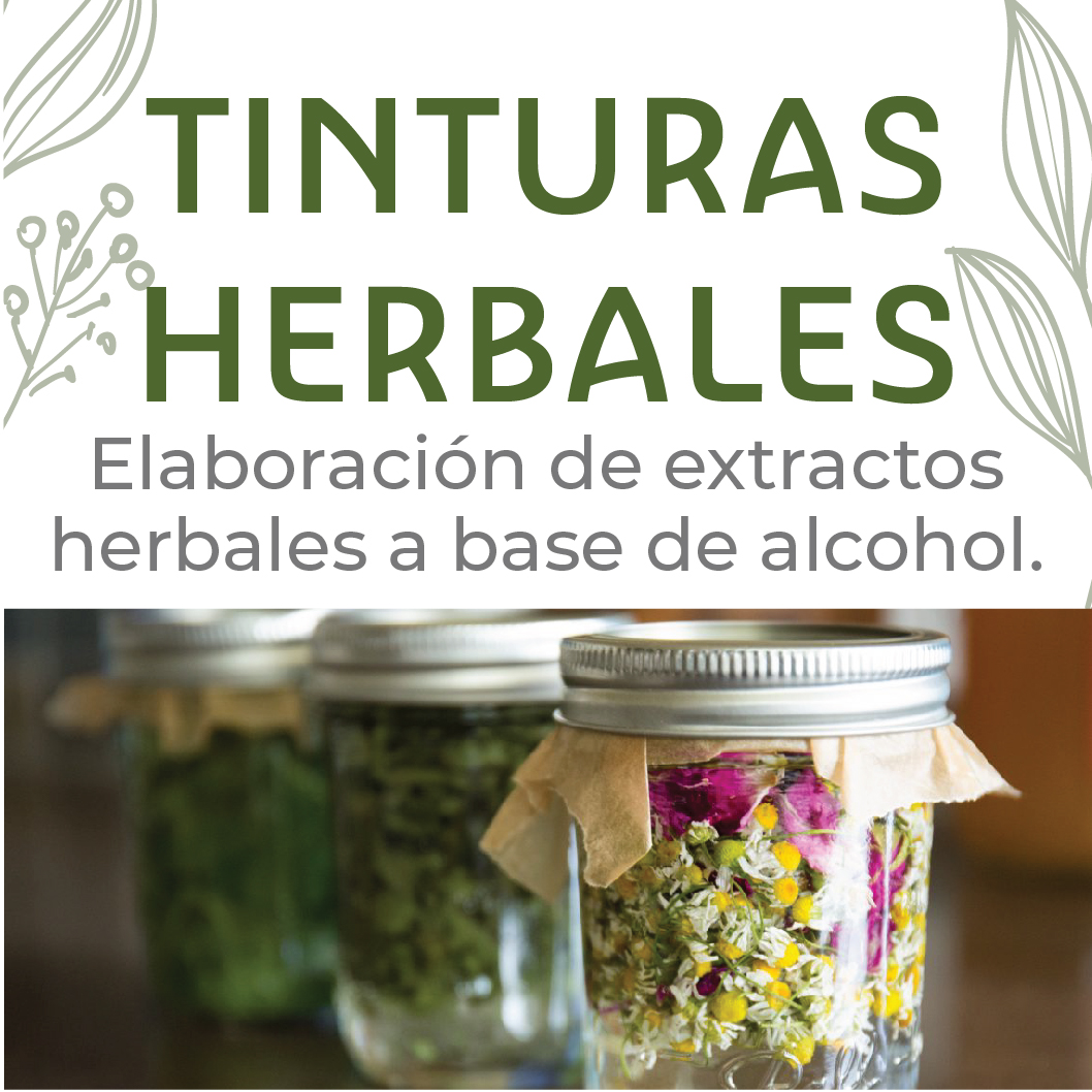 PREPARACIONES HERBALES A BASE DE ALCOHOL «TINTURAS»