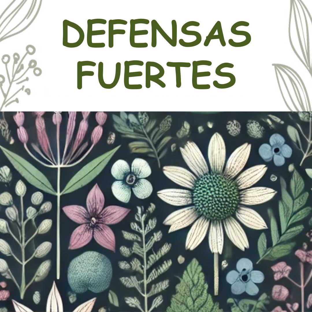 “DEFENSAS FUERTES con Plantas Medicinales: Preparaciones para Prevenir Resfriados e Infecciones”