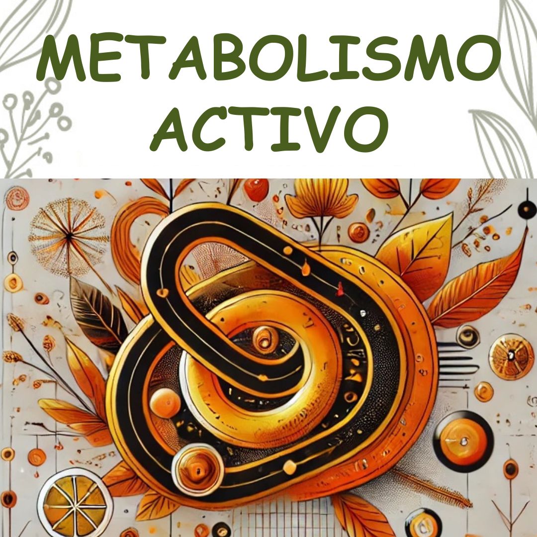 «METABOLISMO ACTIVO: Fórmulas Herbales para Energía, Detox y Control del Apetito”»
